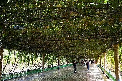 生存冒险游戏《Dysmantle》NS版上市预告片 今日开启预售